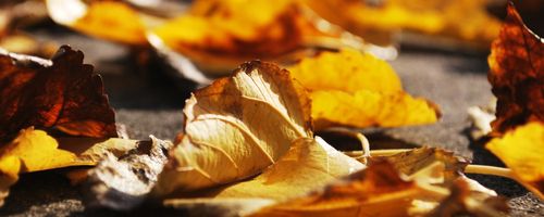 Best ways to design effective labels, designs and banners for your new company