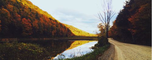 The best ways to identify hosting issues and finding the proper solution