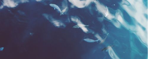 Age is just a number