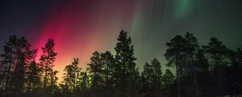 Most common things people notice when purchasing home appliances online