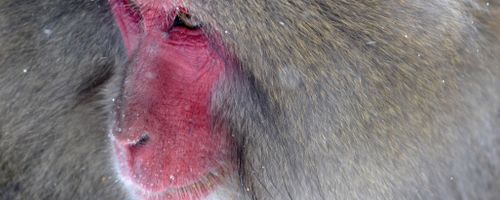 How to market your brand features 