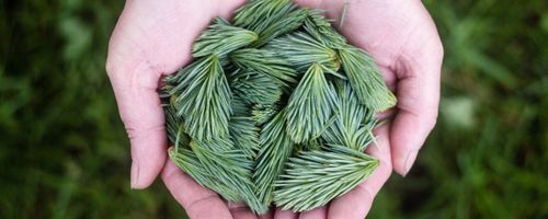 5 benefits you should expect from your vehicle loan