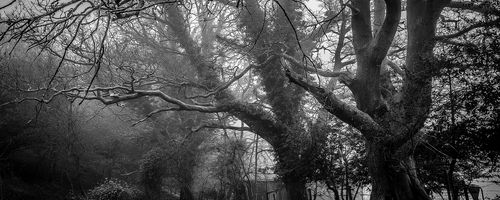 Where to buy the most beneficial online shopping cards?