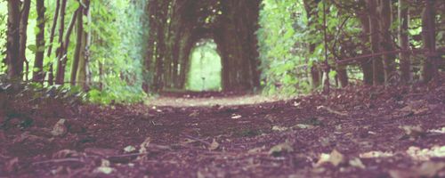 Reasons people having mentors perform better than others