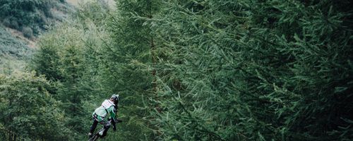 Advantages of using the fax and how to obtain it